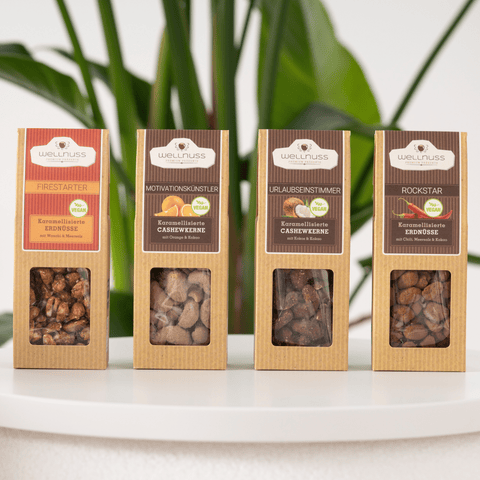 4 vegane Premium Snacks im Geschenkkarton - wellnuss Premium Präsente