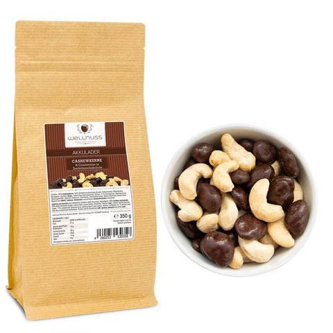 Akkulader - Cranberries in Zartbitterschokolade & Cashewkerne (350 g) - wellnuss Premium Präsente