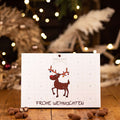Premium Adventskalender - wellnuss Premium Präsente